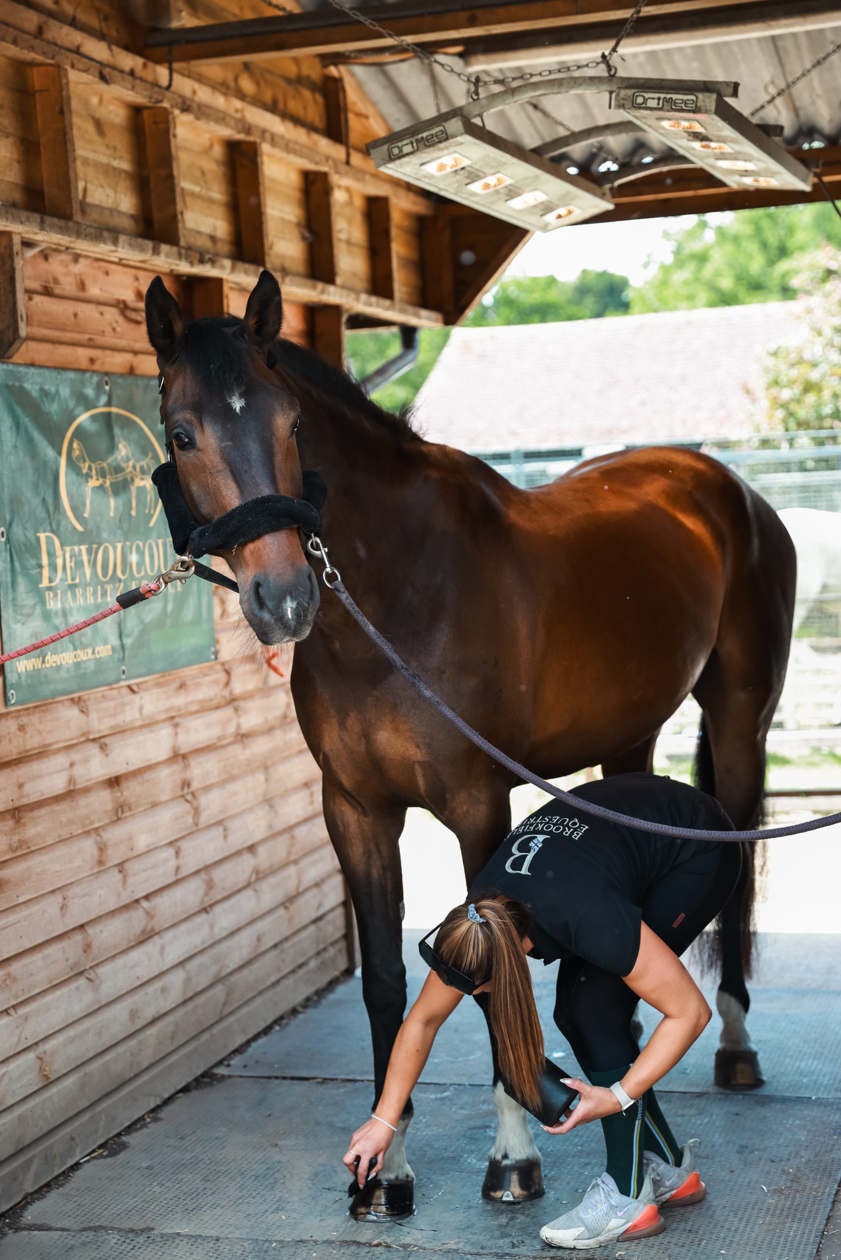 contact brookfield equestrian